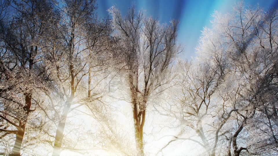 Winter Background Videohive 18354863 Motion Graphics Image 2