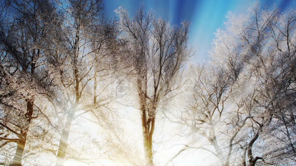 Winter Background Videohive 18354863 Motion Graphics Image 3