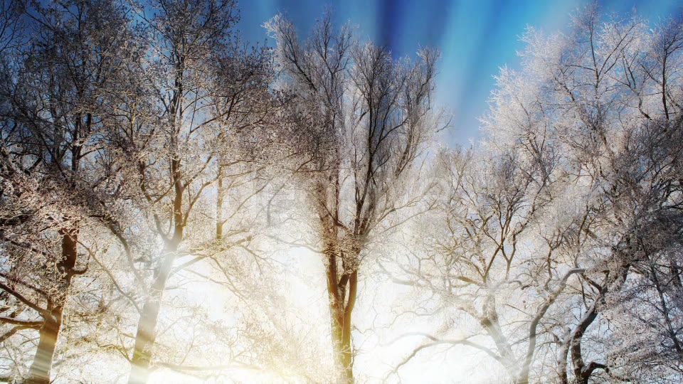 Winter Background Videohive 18354863 Motion Graphics Image 4