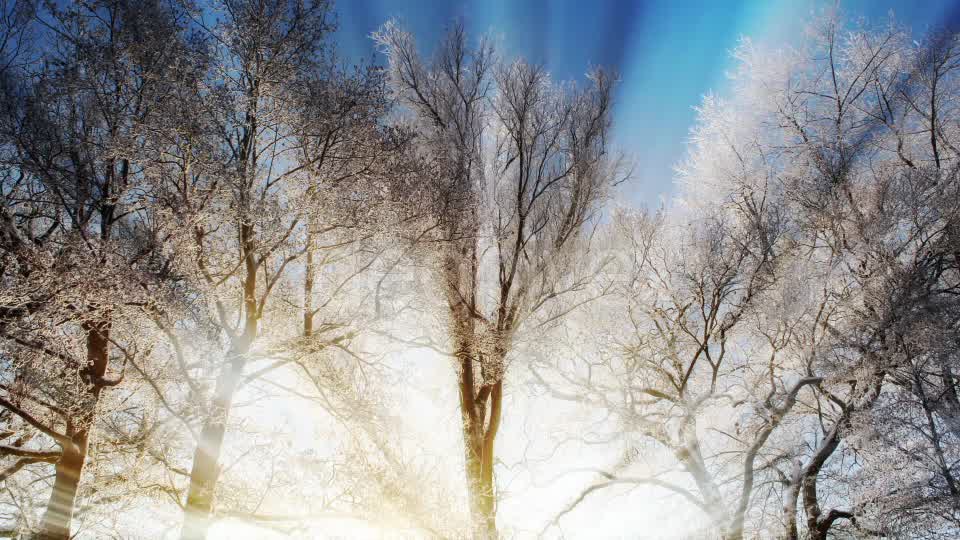 Winter Background Videohive 18354863 Motion Graphics Image 7