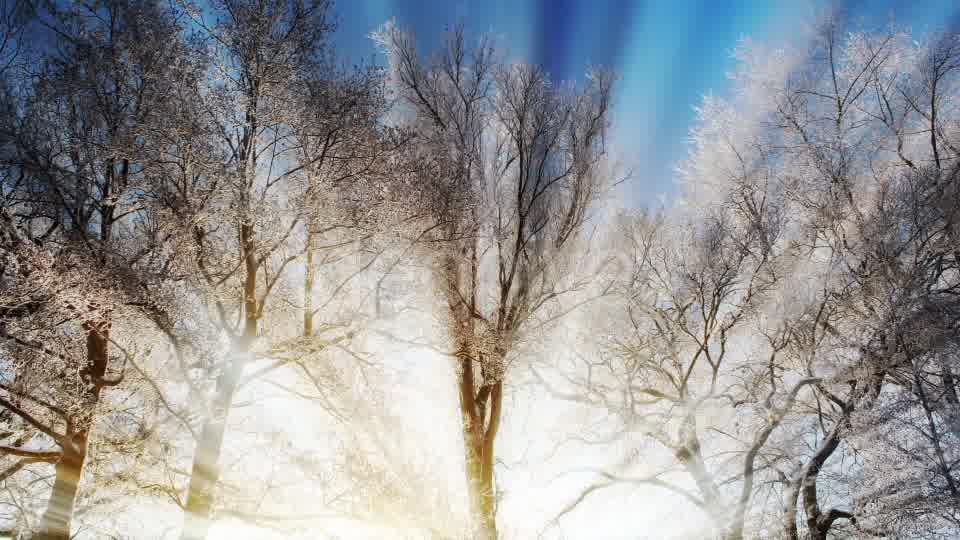 Winter Background Videohive 18354863 Motion Graphics Image 9