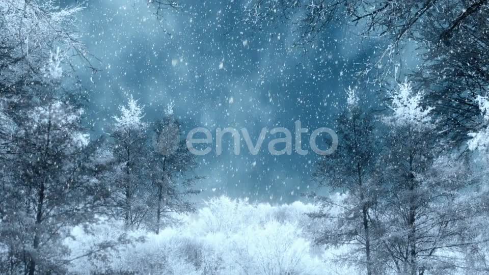 Winter Background Loops Videohive 25300102 Motion Graphics Image 1