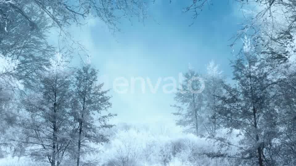 Winter Background Loops Videohive 25300102 Motion Graphics Image 10