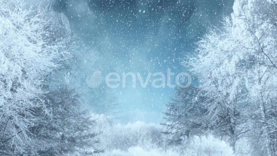 Winter Background Loops Videohive 25300102 Motion Graphics Image 4