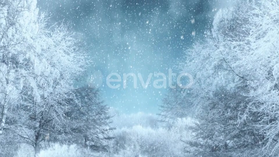 Winter Background Loops Videohive 25300102 Motion Graphics Image 5