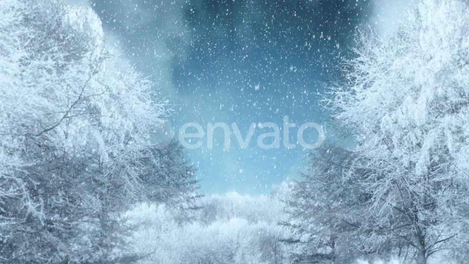 Winter Background Loops Videohive 25300102 Motion Graphics Image 6