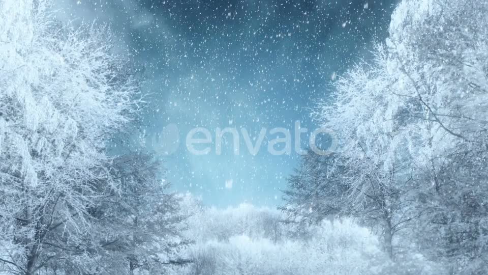 Winter Background Loops Videohive 25300102 Motion Graphics Image 7