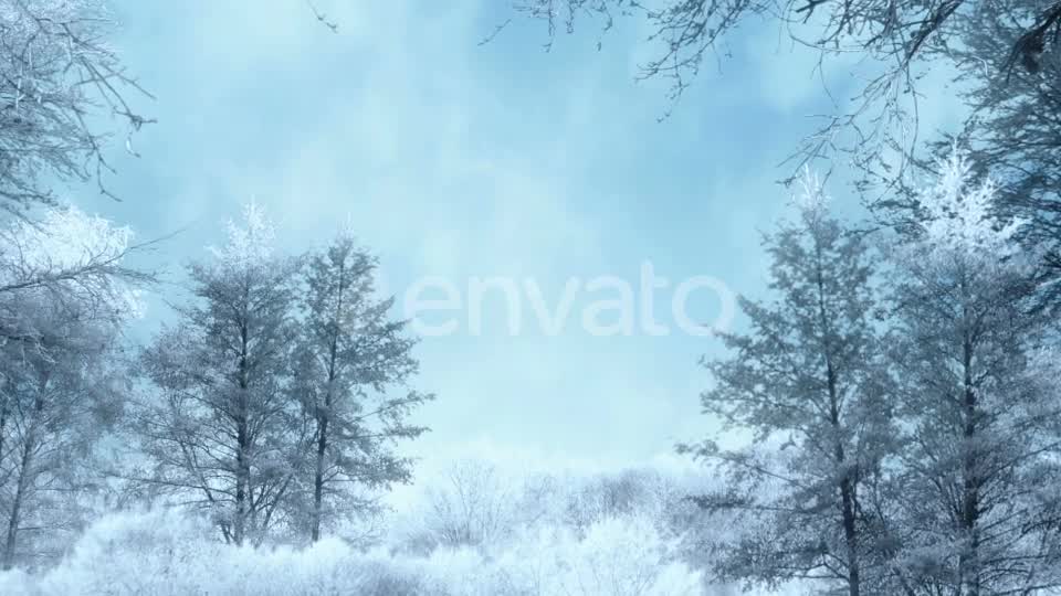 Winter Background Loops Videohive 25300102 Motion Graphics Image 8