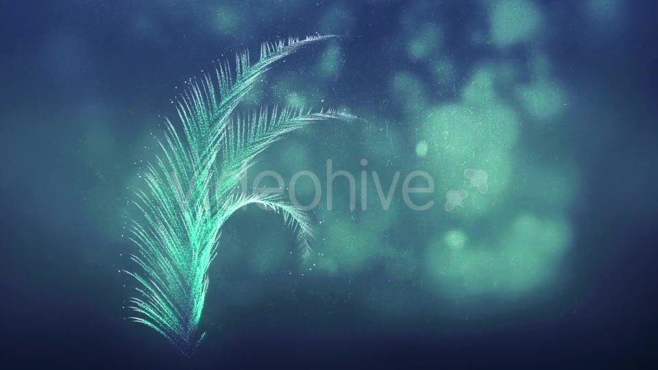Winter Frost Elements Videohive 20734918 Motion Graphics Image 10