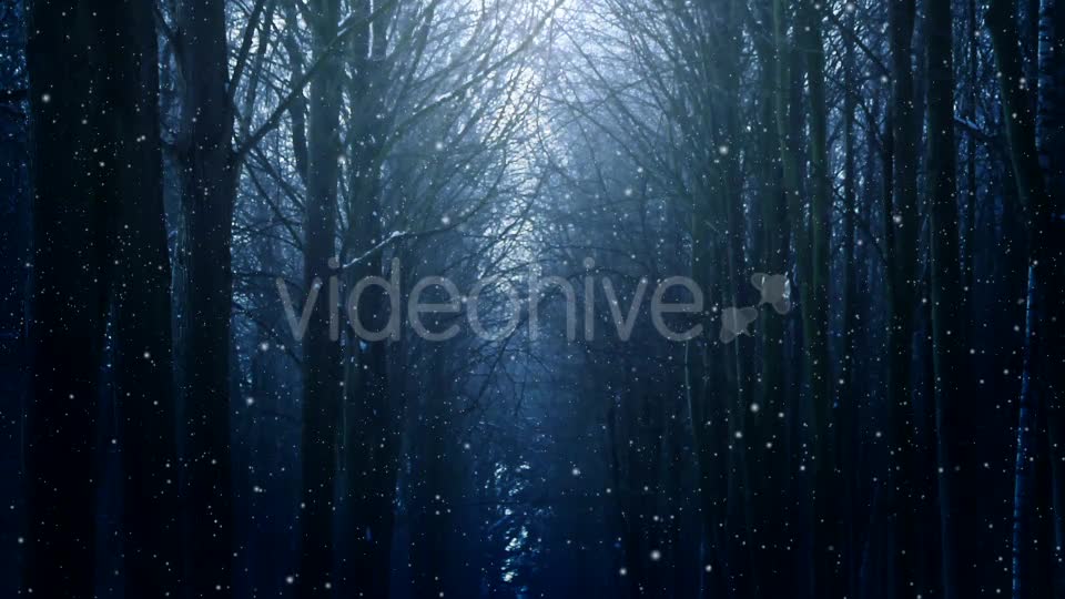 Winter Night Background Videohive 18316613 Motion Graphics Image 1