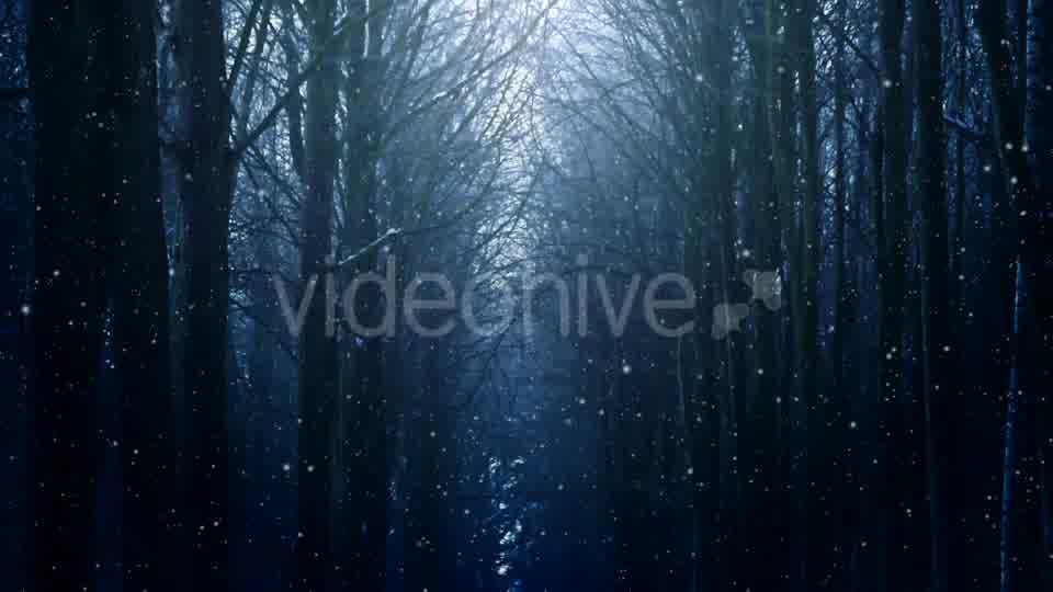 Winter Night Background Videohive 18316613 Motion Graphics Image 10