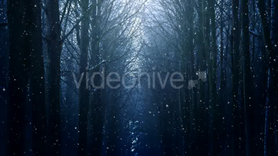 Winter Night Background Videohive 18316613 Motion Graphics Image 11