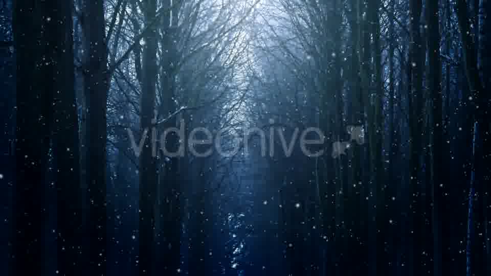 Winter Night Background Videohive 18316613 Motion Graphics Image 12