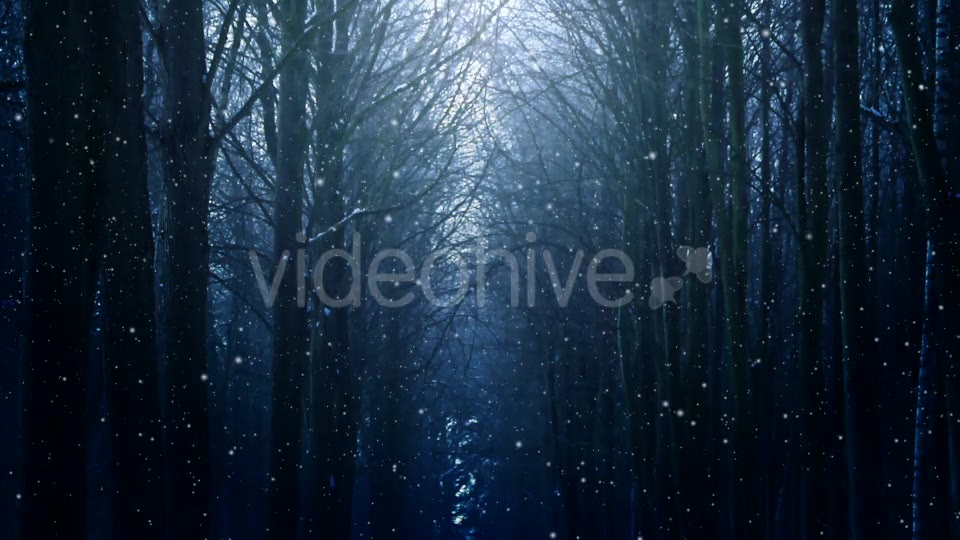Winter Night Background Videohive 18316613 Motion Graphics Image 2