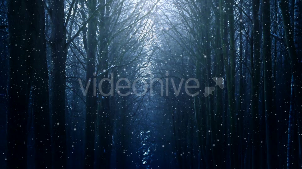 Winter Night Background Videohive 18316613 Motion Graphics Image 3