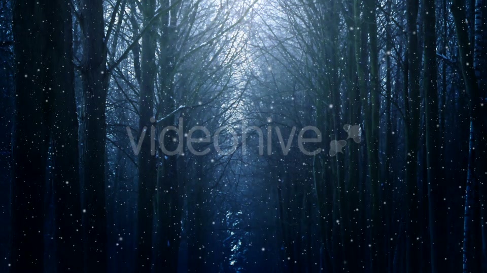 Winter Night Background Videohive 18316613 Motion Graphics Image 4