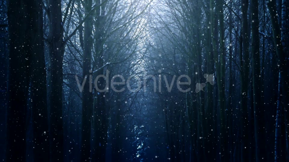Winter Night Background Videohive 18316613 Motion Graphics Image 5