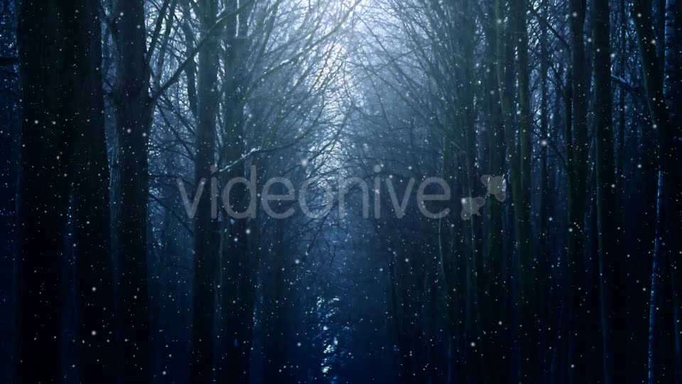 Winter Night Background Videohive 18316613 Motion Graphics Image 6