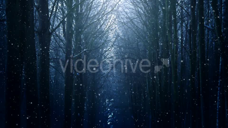 Winter Night Background Videohive 18316613 Motion Graphics Image 7