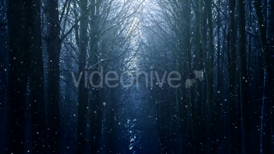 Winter Night Background Videohive 18316613 Motion Graphics Image 8