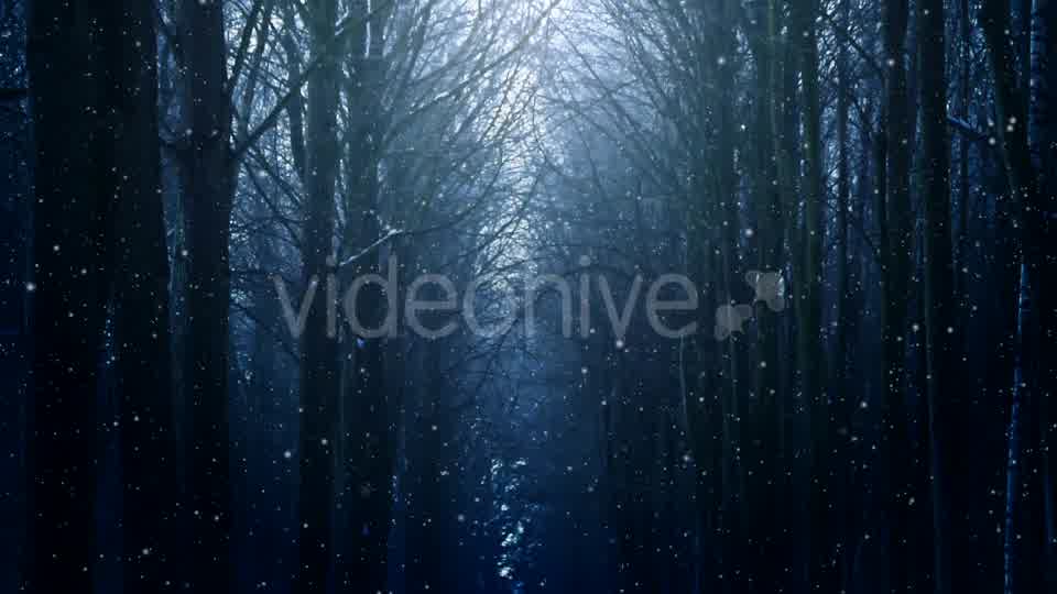 Winter Night Background Videohive 18316613 Motion Graphics Image 9