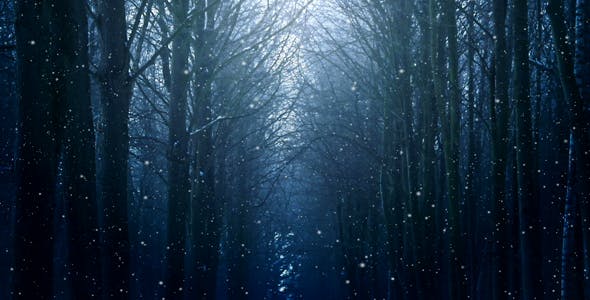 Winter Night Background - 18316613 Videohive Download