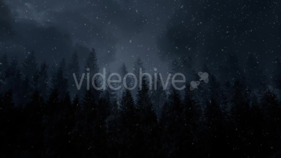 Winter Night Backgrounds Videohive 21011153 Motion Graphics Image 2