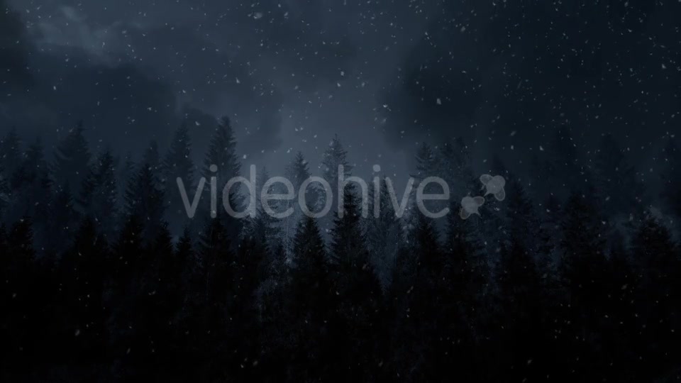 Winter Night Backgrounds Videohive 21011153 Motion Graphics Image 3