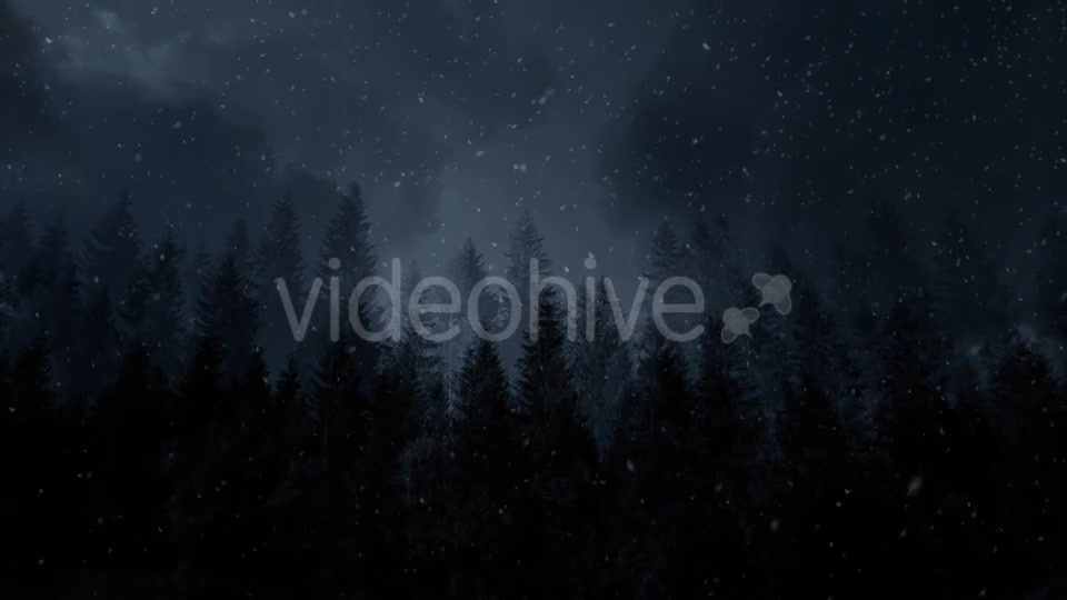 Winter Night Backgrounds Videohive 21011153 Motion Graphics Image 4