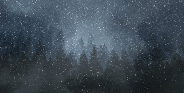 Winter Night Backgrounds - 21011153 Videohive Download