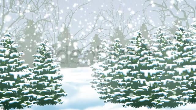 Winter Woods Videohive 6269438 Motion Graphics Image 5