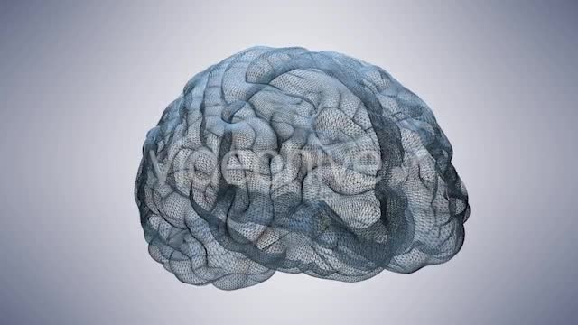 Wireframe Brain Videohive 20665420 Motion Graphics Image 1