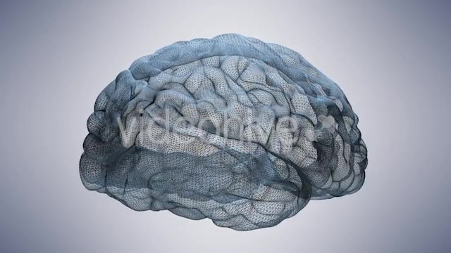 Wireframe Brain Videohive 20665420 Motion Graphics Image 2