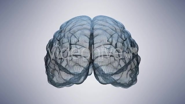 Wireframe Brain Videohive 20665420 Motion Graphics Image 3