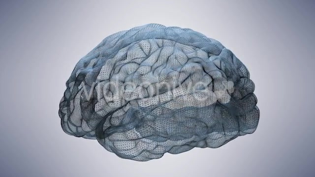 Wireframe Brain Videohive 20665420 Motion Graphics Image 4
