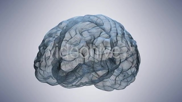 Wireframe Brain Videohive 20665420 Motion Graphics Image 5
