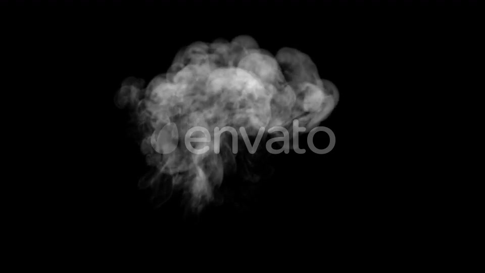 Wispy Smoke C Videohive 22704975 Motion Graphics Image 2