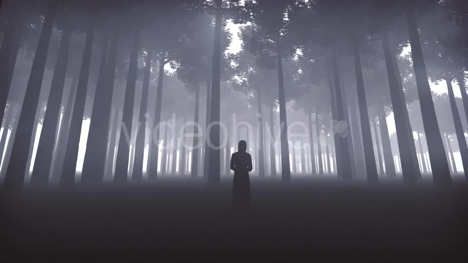 Witchs Forest Videohive 20930519 Motion Graphics Image 1