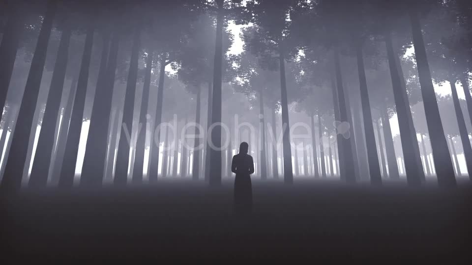 Witchs Forest Videohive 20930519 Motion Graphics Image 2