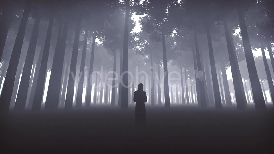 Witchs Forest Videohive 20930519 Motion Graphics Image 3