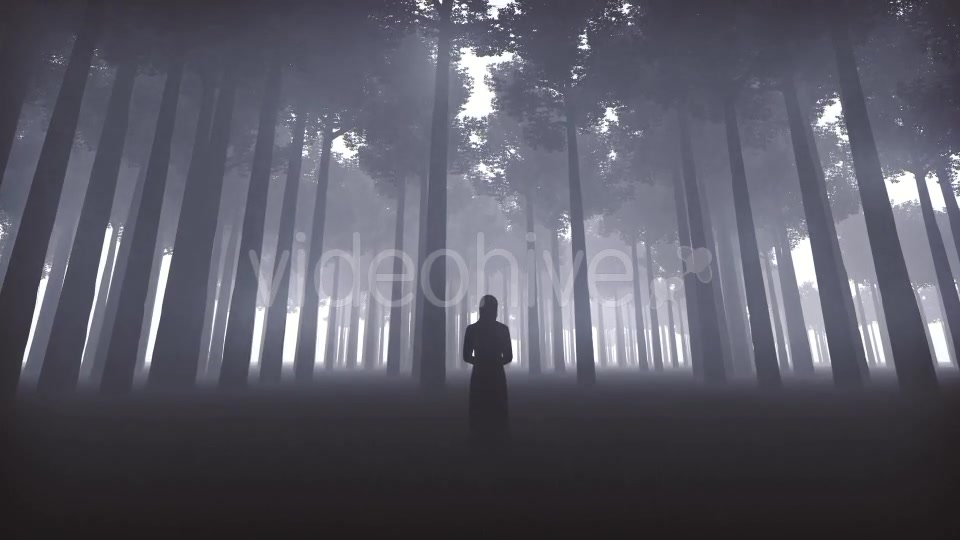 Witchs Forest Videohive 20930519 Motion Graphics Image 4