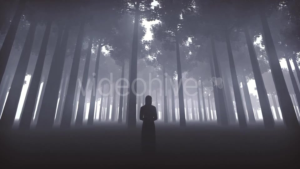 Witchs Forest Videohive 20930519 Motion Graphics Image 7