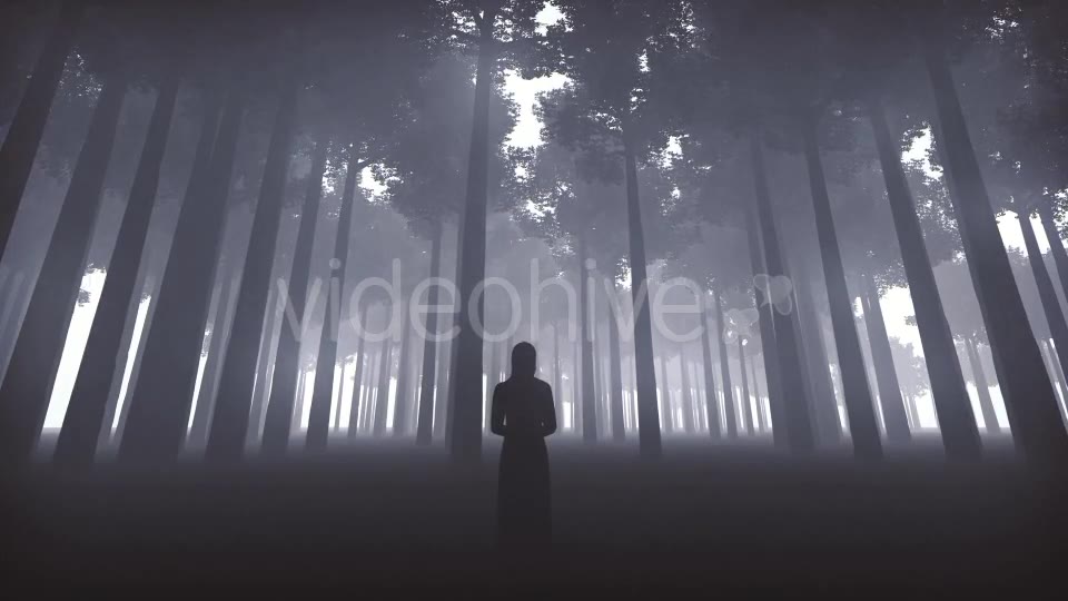 Witchs Forest Videohive 20930519 Motion Graphics Image 8