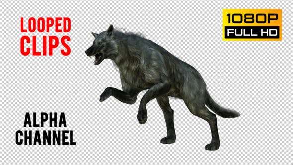 Wolf 4 Realistic Pack 3 - Videohive 21337945 Download