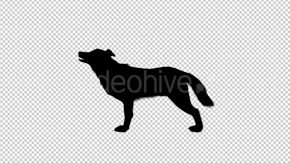 Wolf Howling Silhouette Animation 4 Scene Videohive 19192028 Motion Graphics Image 1