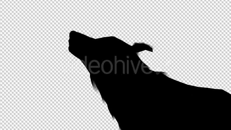 Wolf Howling Silhouette Animation 4 Scene Videohive 19192028 Motion Graphics Image 11