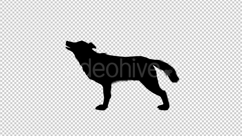 Wolf Howling Silhouette Animation 4 Scene Videohive 19192028 Motion Graphics Image 3