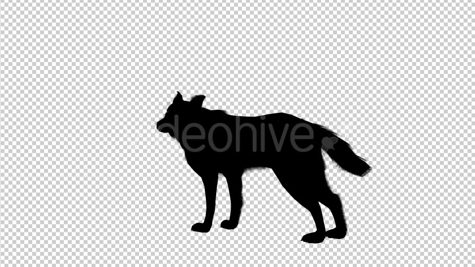 Wolf Howling Silhouette Animation 4 Scene Videohive 19192028 Motion Graphics Image 5
