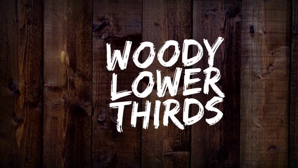 Woody Lower Thirds Videohive 17549687 Motion Graphics Image 1