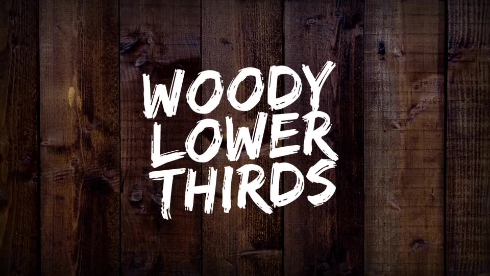 Woody Lower Thirds Videohive 17549687 Motion Graphics Image 2